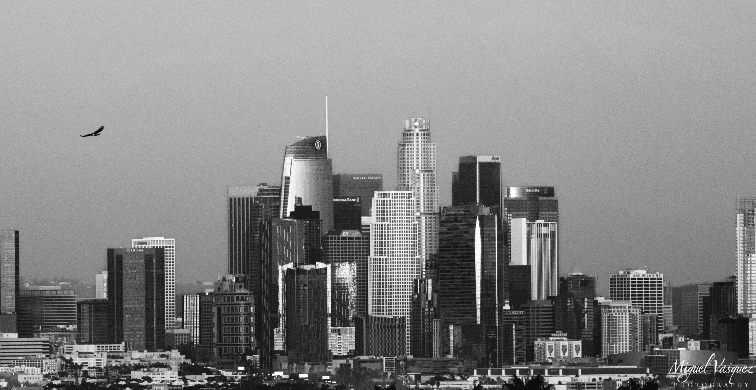 Black and white daytime photo of the Downtown Los Angeles skyline with an eagle overhead