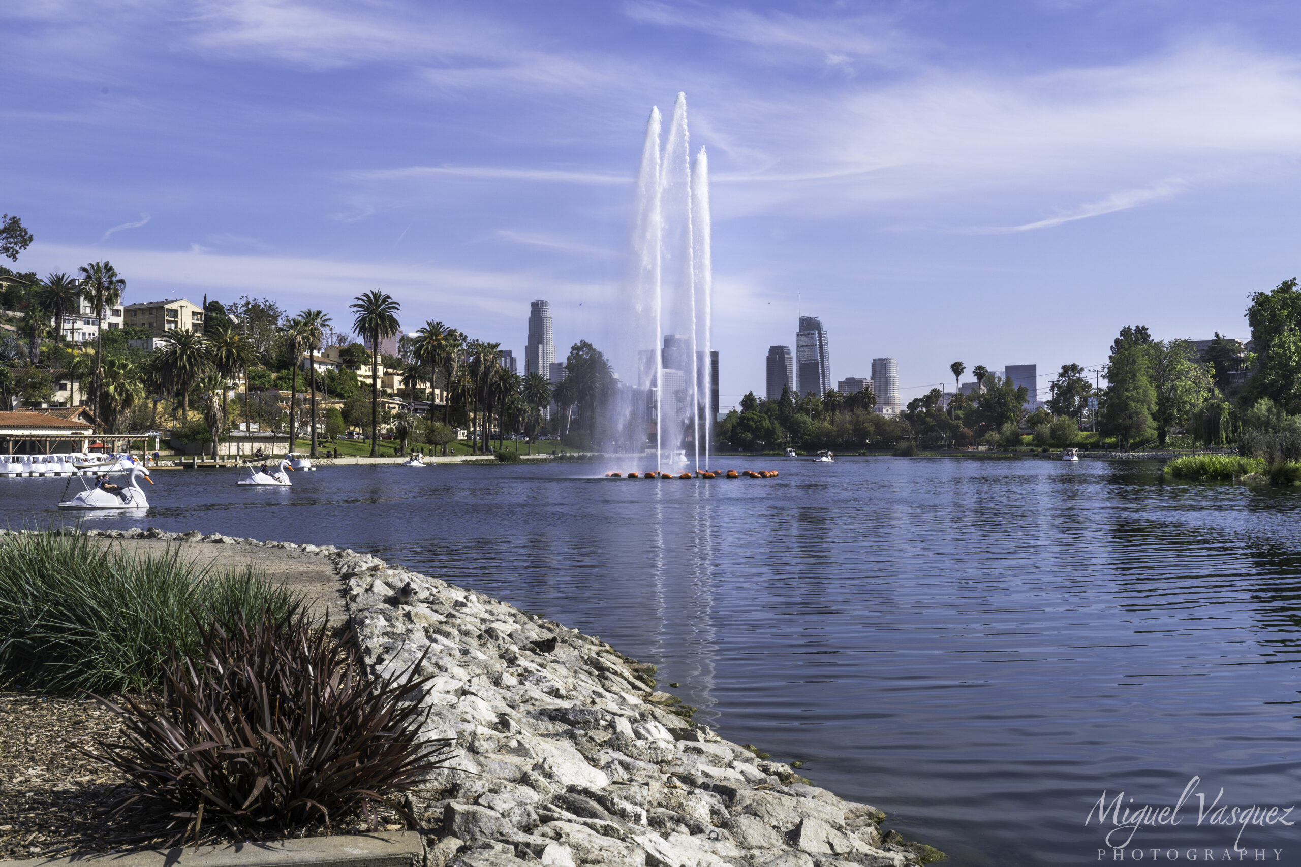 Echo Park Lake fountain surrounded by palm trees with the Downtown Los Angeles skyline in the background
