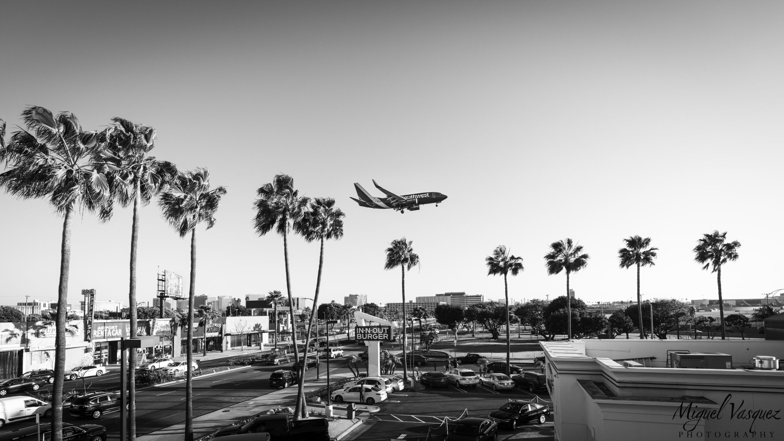 Black and white photo of an airplane flying over palm trees near In-N-Out and LAX airport