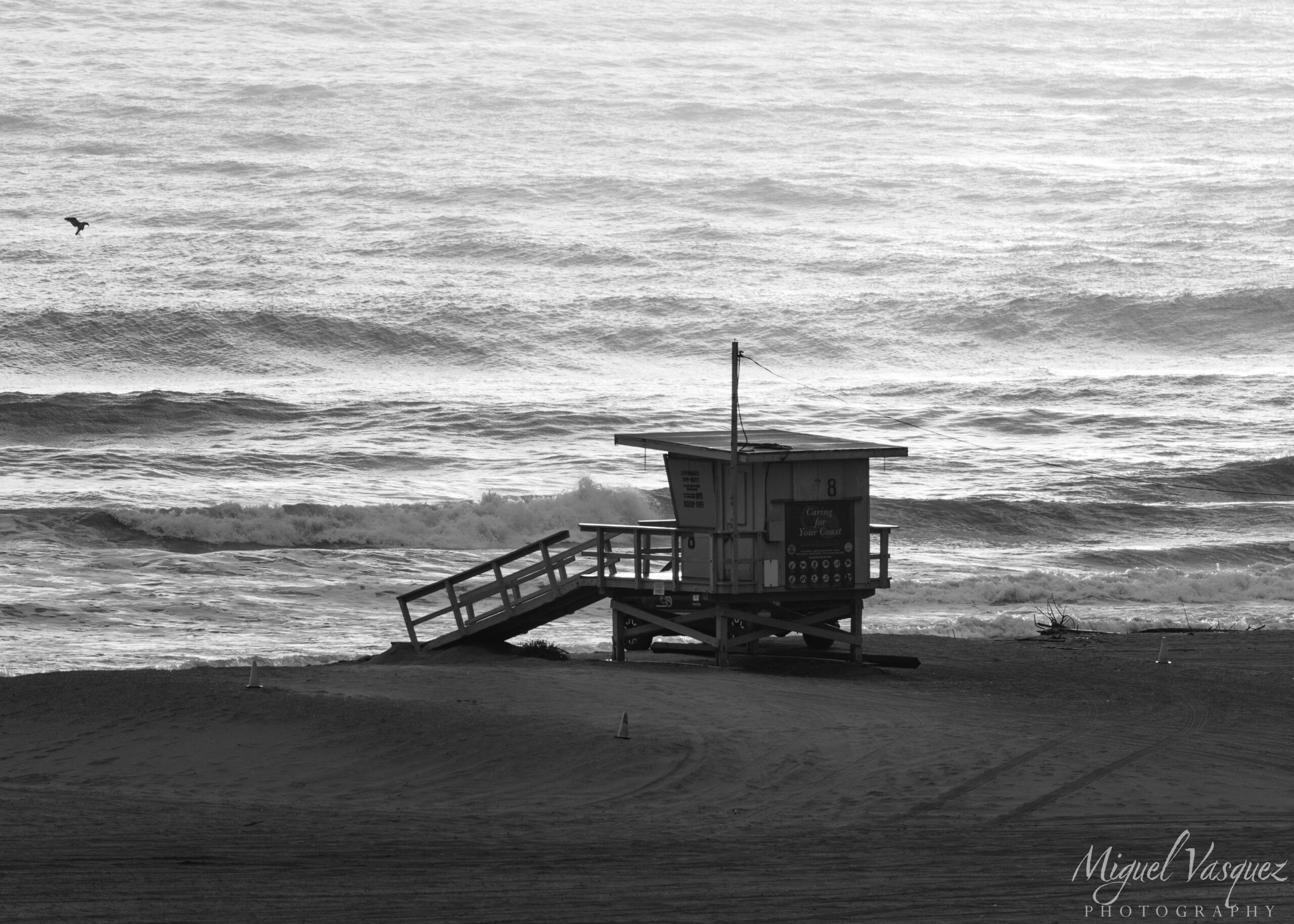 Black and white telephoto photo of a lifeguard tower with a bird flying over the waves at Santa Monica Beach
