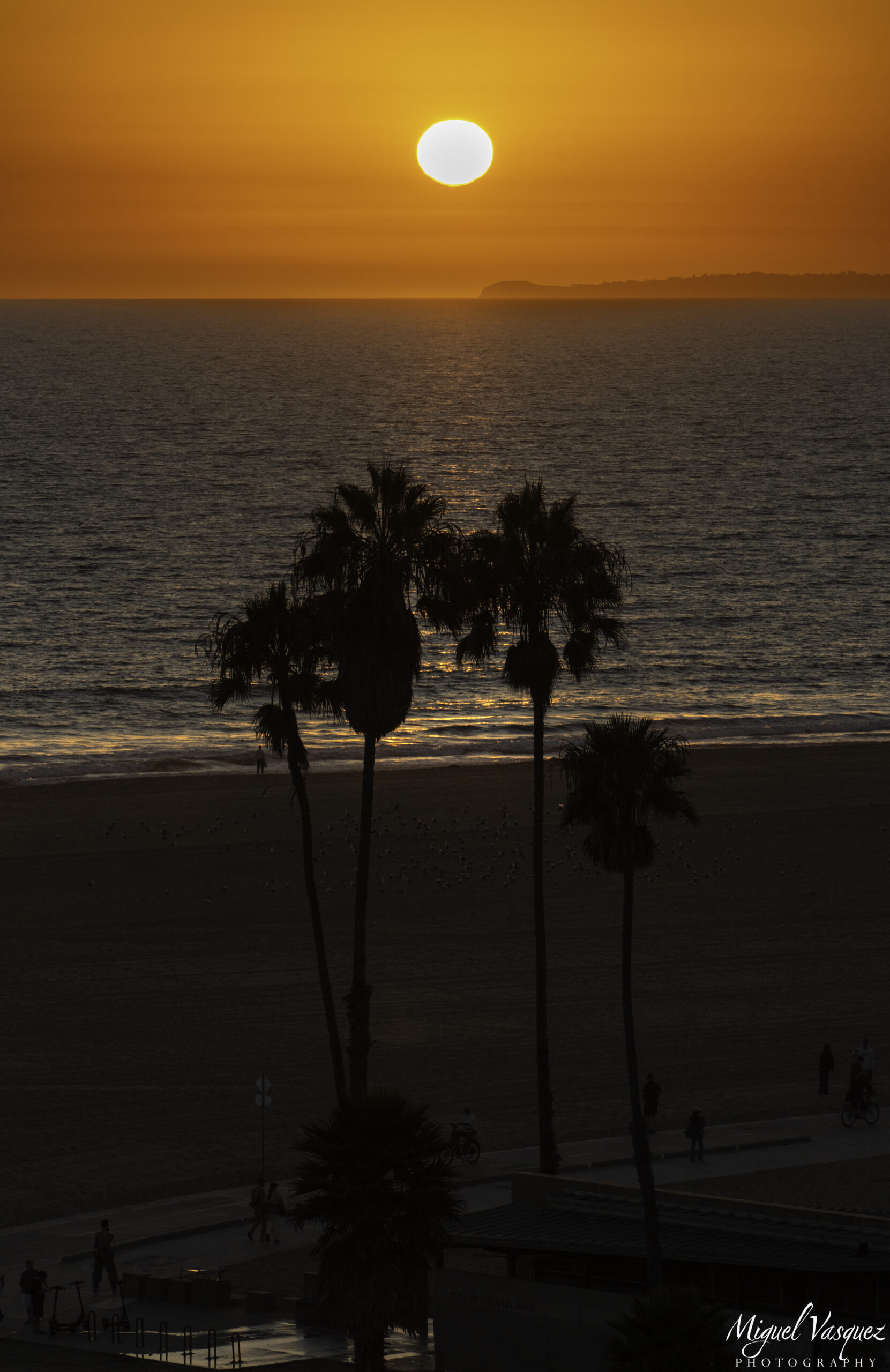 Silhouetted palm trees against a glowing sunset over Santa Monica Beach