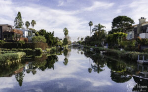 Daytime view of the Venice Canals with houses and palm trees mirrored in the still water