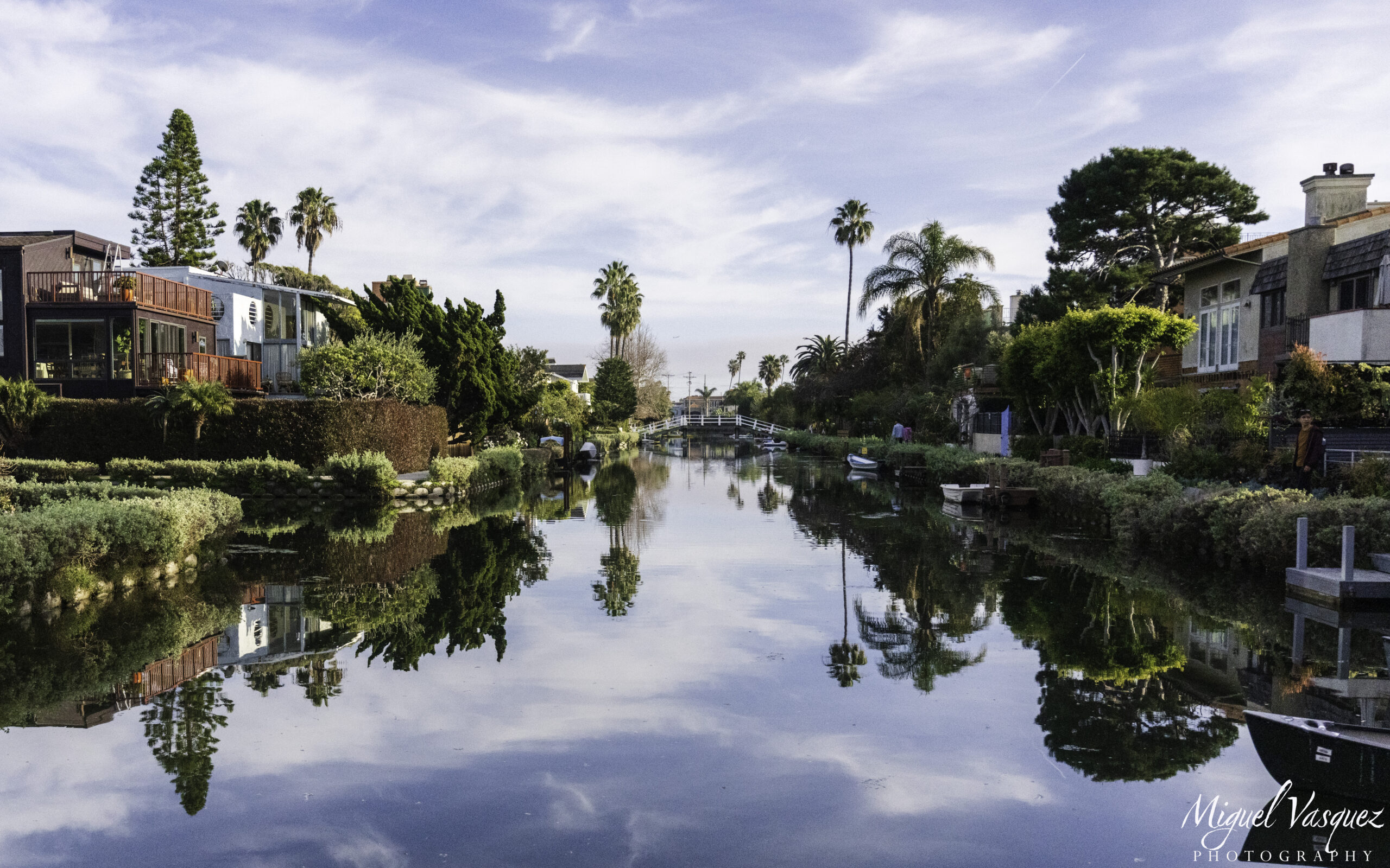 Daytime view of the Venice Canals with houses and palm trees mirrored in the still water